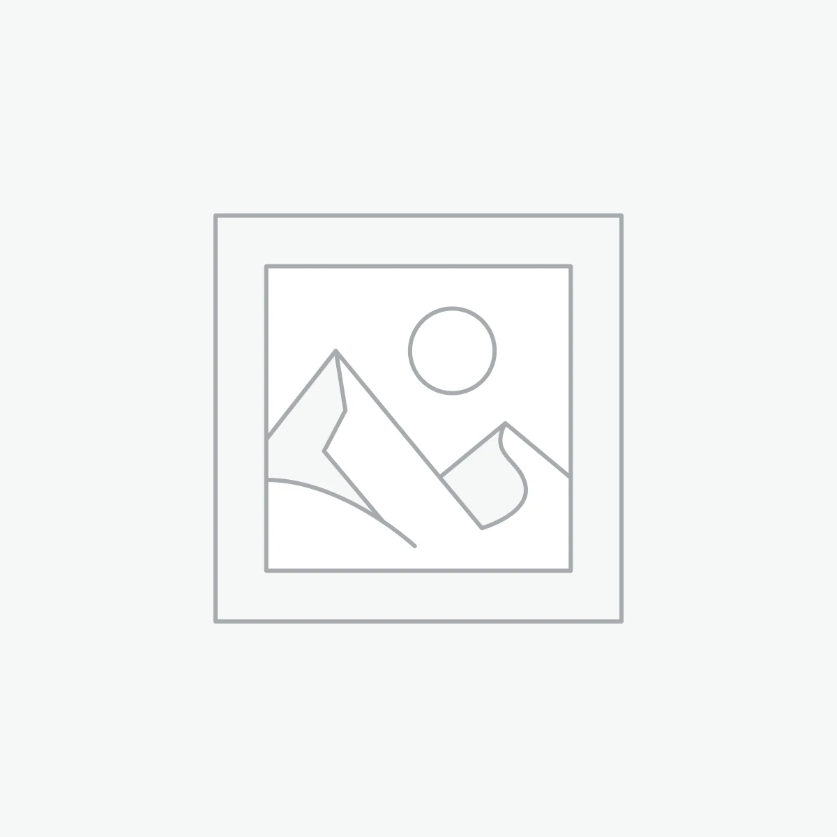 Premium OEM Gadget